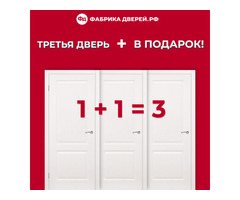 Двери в Новосибирске! Третья в подарок!